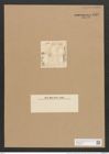 Nitzschia communis var. abbreviata (de-Toni-Nr.: Genus 47, Species 2131) Zeichnungen Sammlung Grunow Nr. 4537 (NHMW-BOT-W0372516)